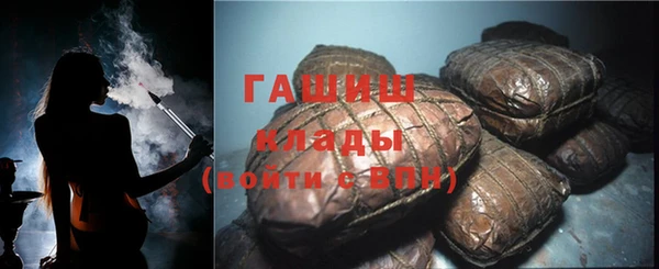 индика Арсеньев