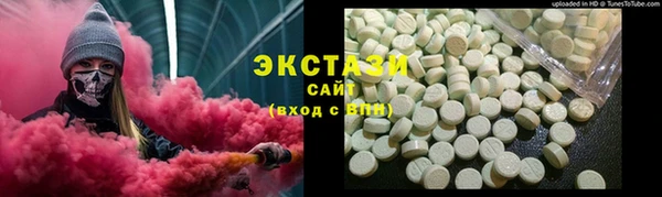 индика Арсеньев