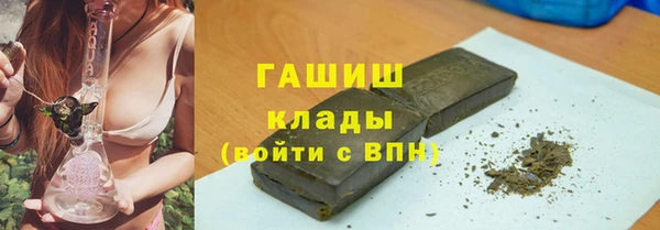 индика Арсеньев