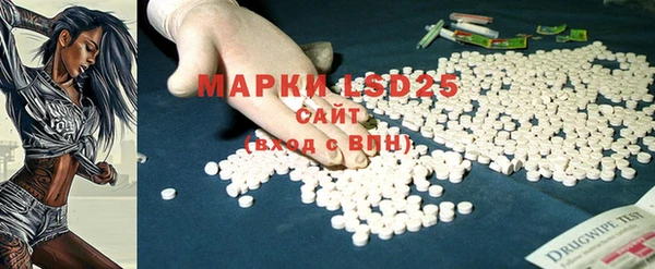 индика Арсеньев