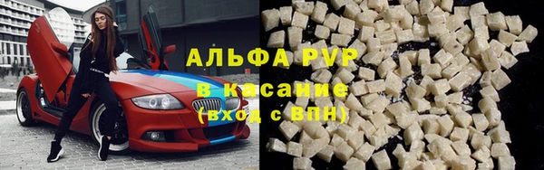 индика Арсеньев