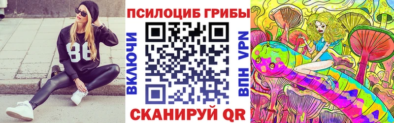 Галлюциногенные грибы Psilocybe  купить наркотики цена  Барабинск 